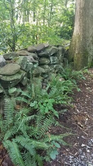 Terrain de l’hébergement