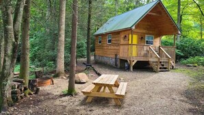 Eine Holzhütte mit grüner Dachdeckung, umgeben von Bäumen, und ein Picknicktisch davor.