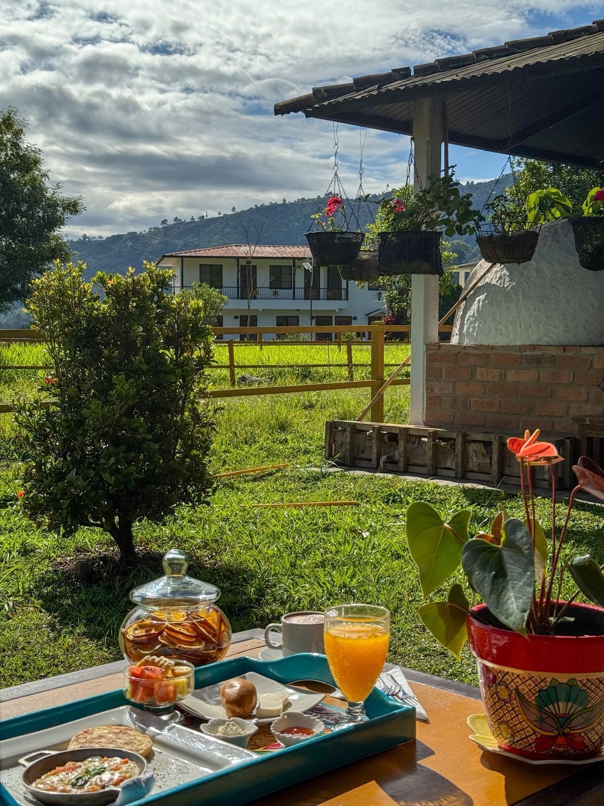 Bandeja de desayuno con comida y bebidas, una planta en maceta y vistas a una casa y campos.