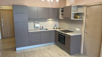 Apartment, 1 King Bed with Sofa bed | Private kitchen | Fridge, microwave, oven, stovetop