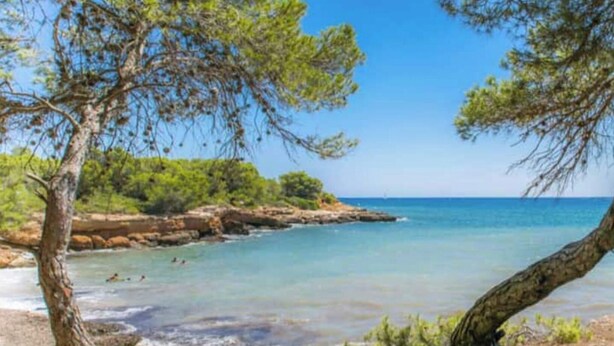 Un paysage côtier caractérisé par des eaux limpides, des rivages rocheux et une végétation luxuriante.