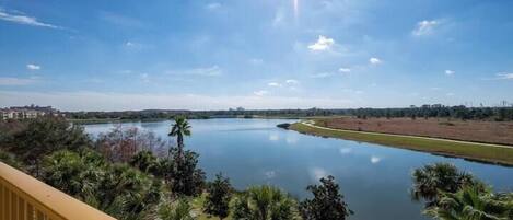 A river with a clear sky and palm trees in the foreground.