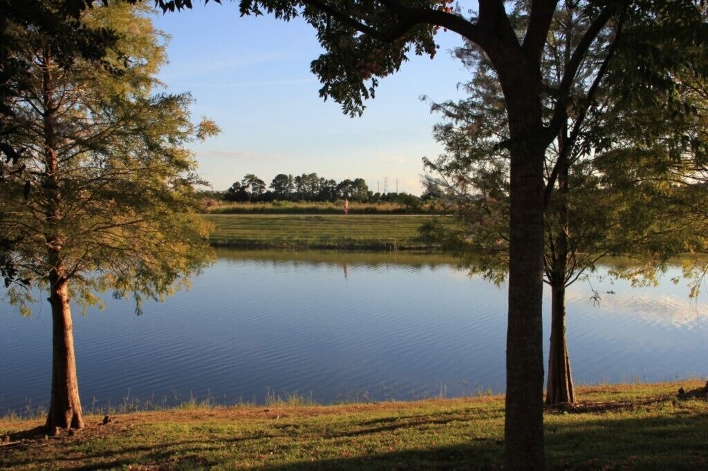 A calm lake with trees in the foreground and a field in the background.