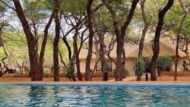 A pool area with clear water, surrounded by trees and a building with a thatched roof. - Phakela Private Lodge (Thabazimbi)