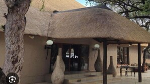 A building with a thatched roof, large vases, and a tree in the foreground. - Phakela Private Lodge (Thabazimbi)