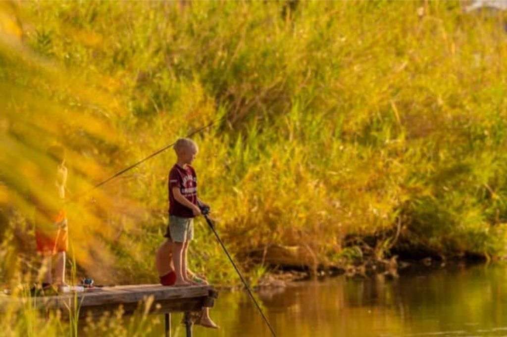 Une personne est en train de pêcher au bord d’une rivière paisible, avec une végétation luxuriante en arrière-plan.