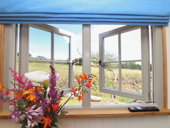 A window with a view of a grassy field and trees, a remote control on the windowsill, and a vase with flowers.