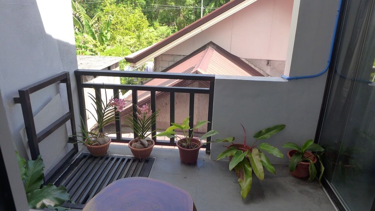 Un balcon agrémenté de plantes en pot, doté d’une rambarde en métal et offrant une vue sur les bâtiments voisins.