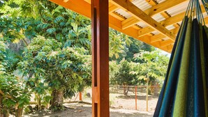 A hammock under a wooden pergola in a garden with various trees and a dirt path. - Comfortable, local home with A/C and private verandah (Calibishie)