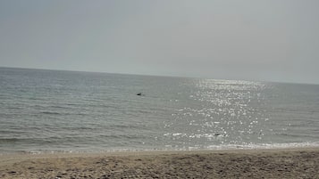 Una playa cerca