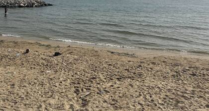 Cosy furnished apartment near beach