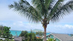 Property grounds - 2 Bedroom - Steps away from Kailua Beach Park! (Kailua)