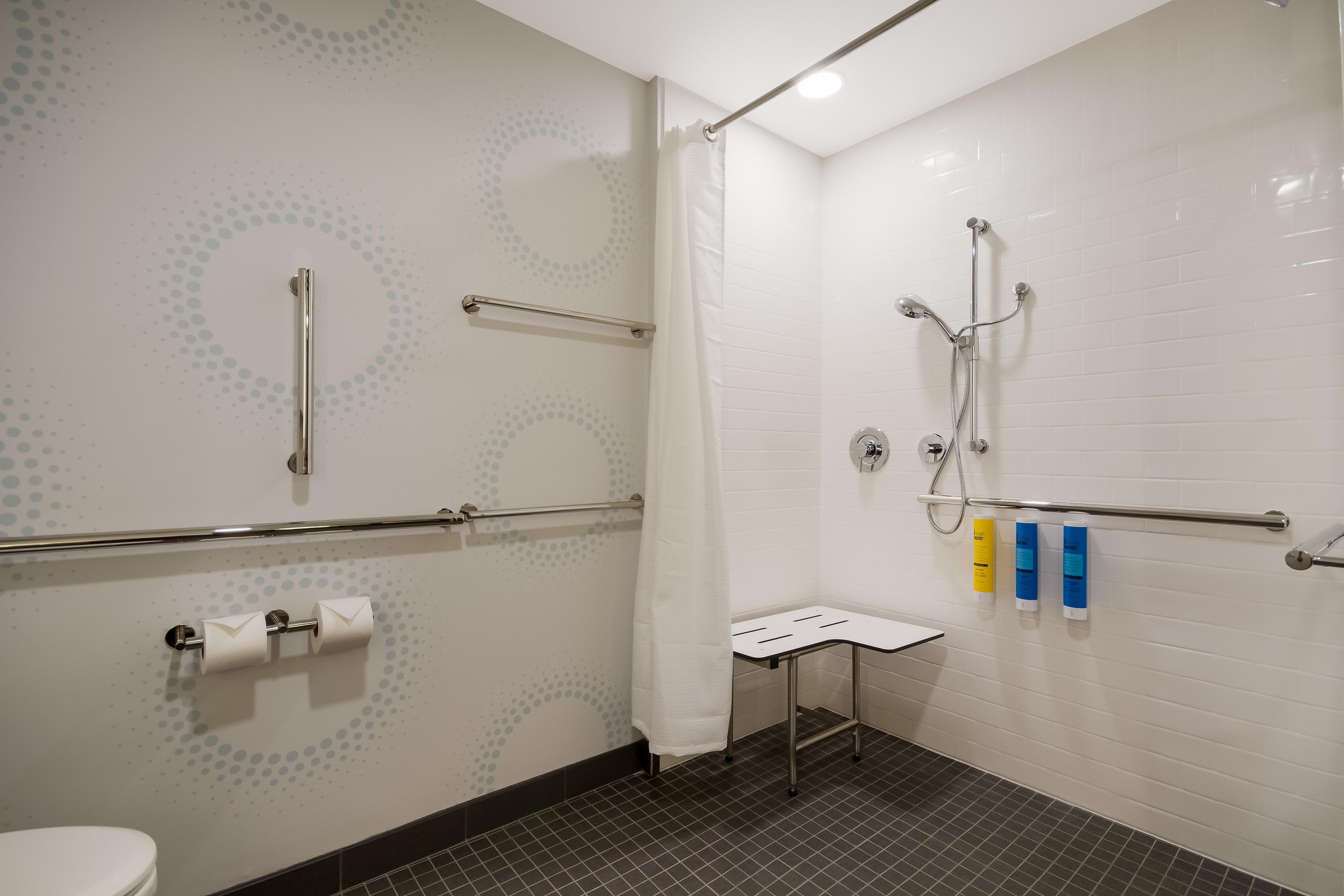 A bathroom with a toilet, a shower with a handheld showerhead, grab bars, and a small step stool.