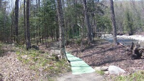 Ett skogsområde med en grusväg som leder till en liten stuga.