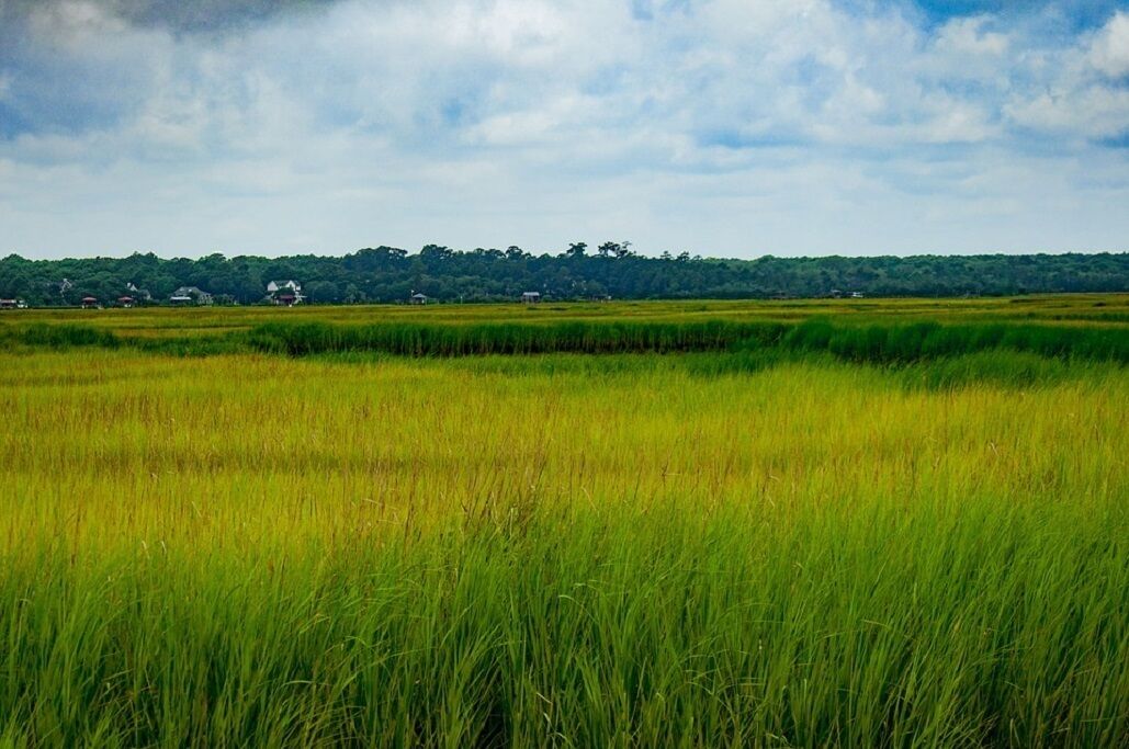 A flat landscape with a line of houses in the distance.