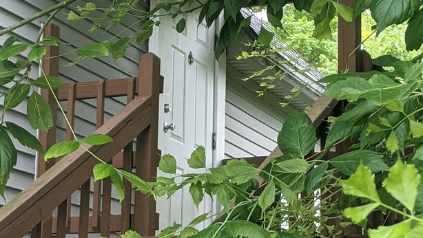 A wooden staircase leading to a white door, surrounded by lush green foliage. - Nice little hideaway close to all the downtown amenities  (Fort Wayne)