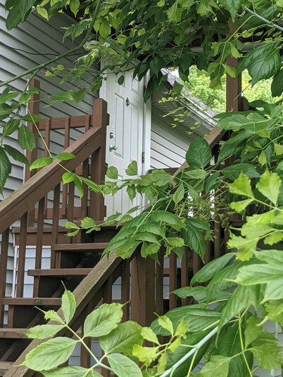 Nice little hideaway close to all the downtown amenities 