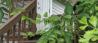 Nice little hideaway close to all the downtown amenities