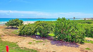 Eine Küstenlandschaft mit Strand und Weinbergen.