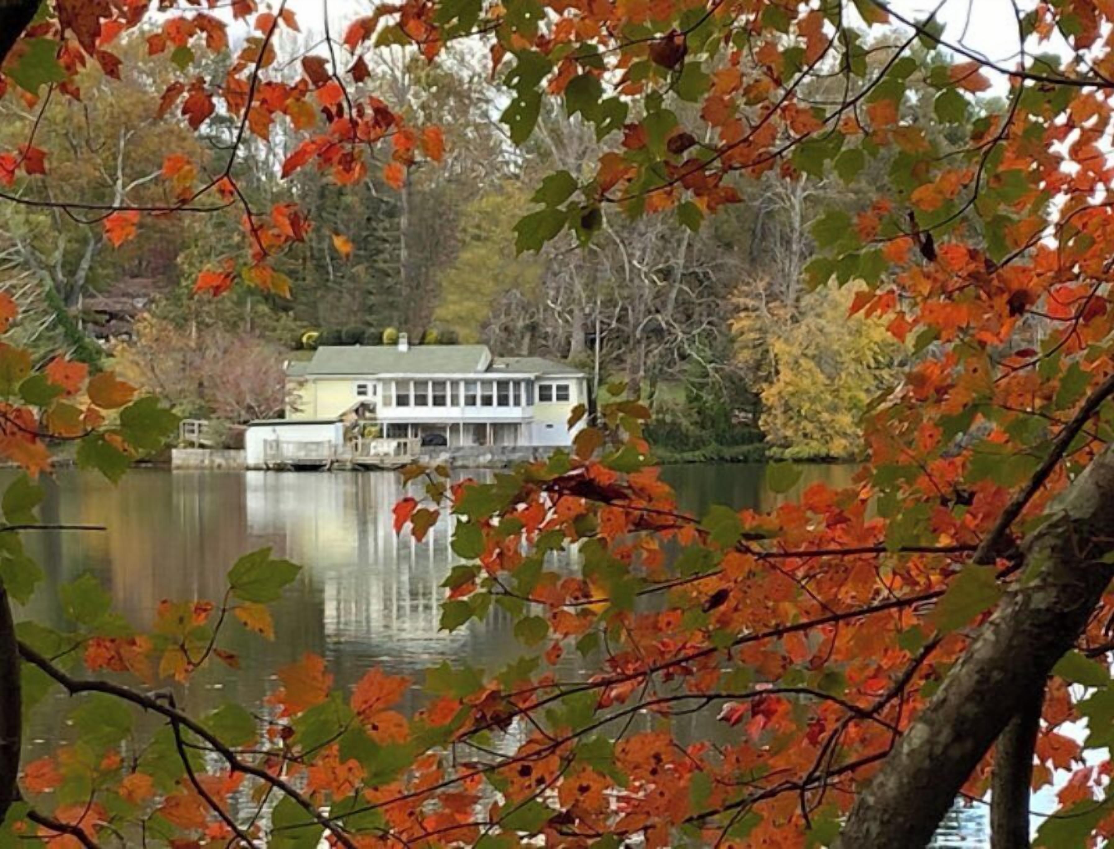 Water's Edge Bungalow ~ Private dock and Fire Pit ~ Lake Privileges