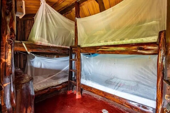 Una cabaña rústica de madera con dos literas, cada una cubierta con mosquiteros.