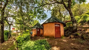A rustic cabin with a 'SHOWER' sign, surrounded by lush greenery and trees.