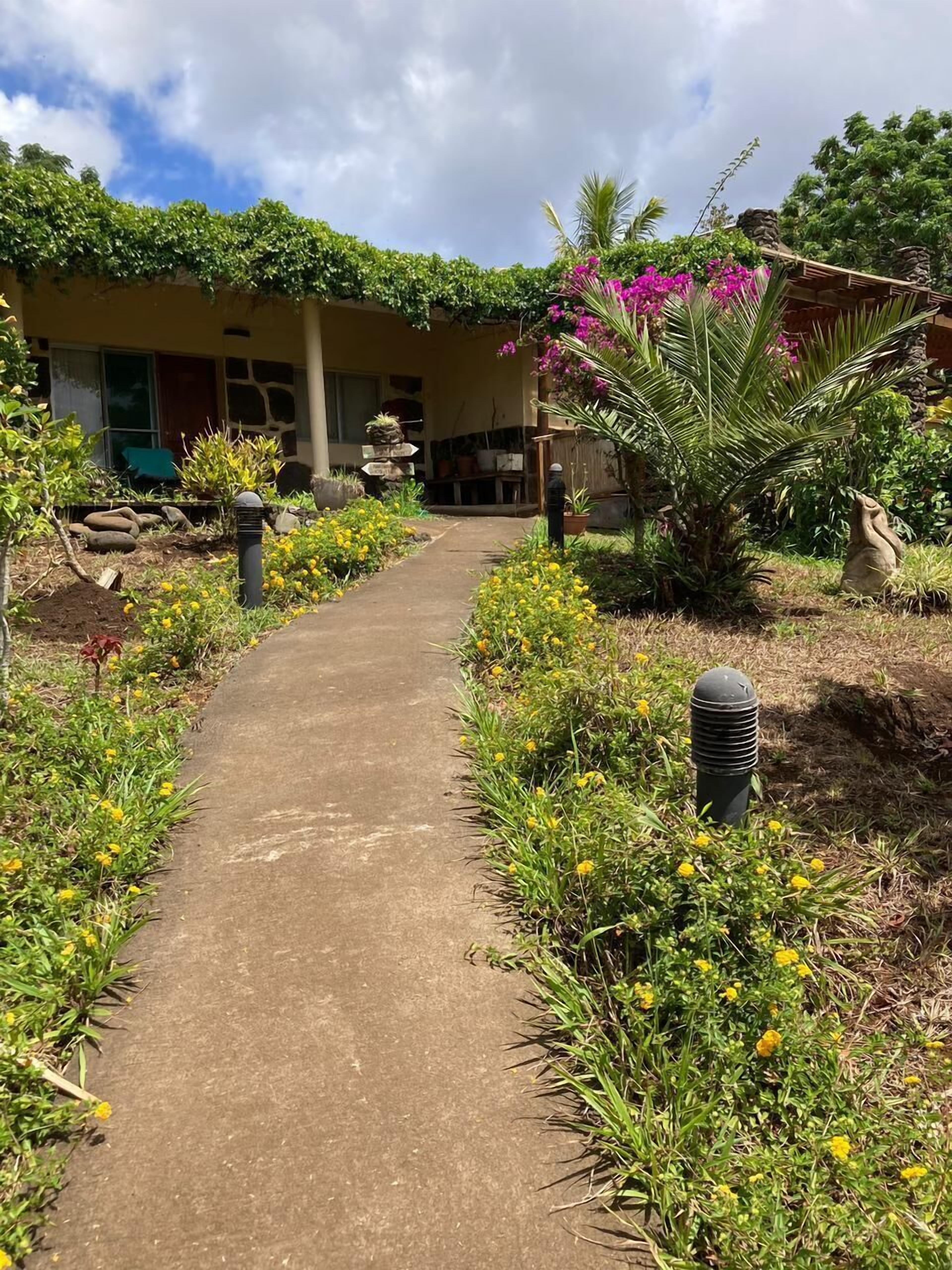 Un sendero conduce a un edificio de fachada de piedra, rodeado de diversas plantas y flores.