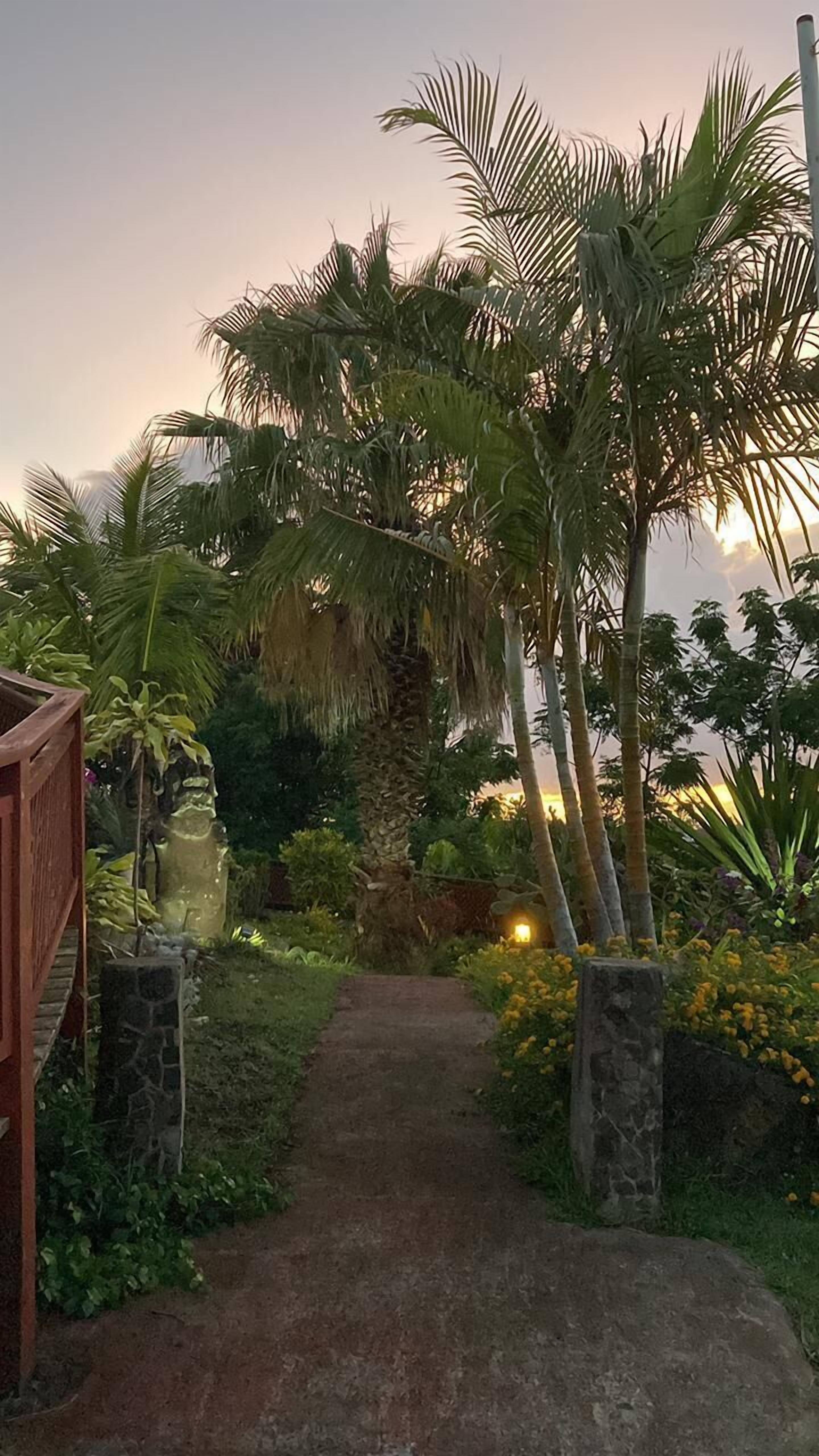 A pathway leading through a garden with palm trees and a wooden structure on the left.
