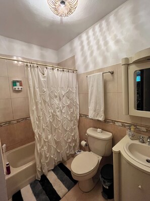 Hair dryer, bidet, towels, soap - Mountainous Mansion (Florida)