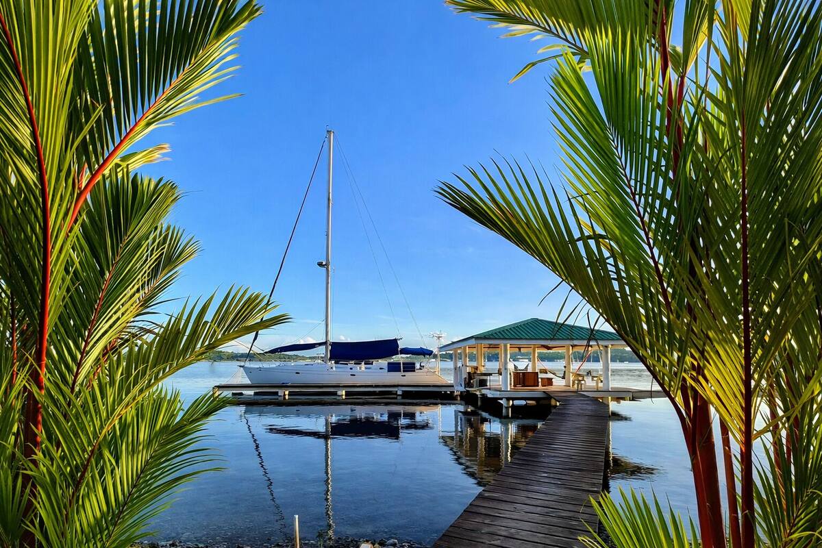 Un puerto deportivo con un muelle que se adentra en aguas tranquilas, rodeado de exuberantes palmeras.