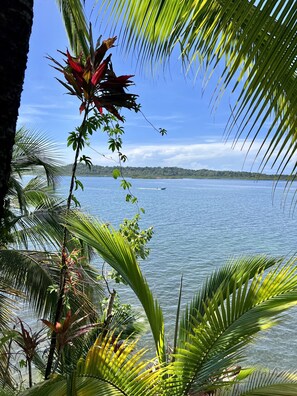 Beach - Akwaba Lodge (Bastimentos)