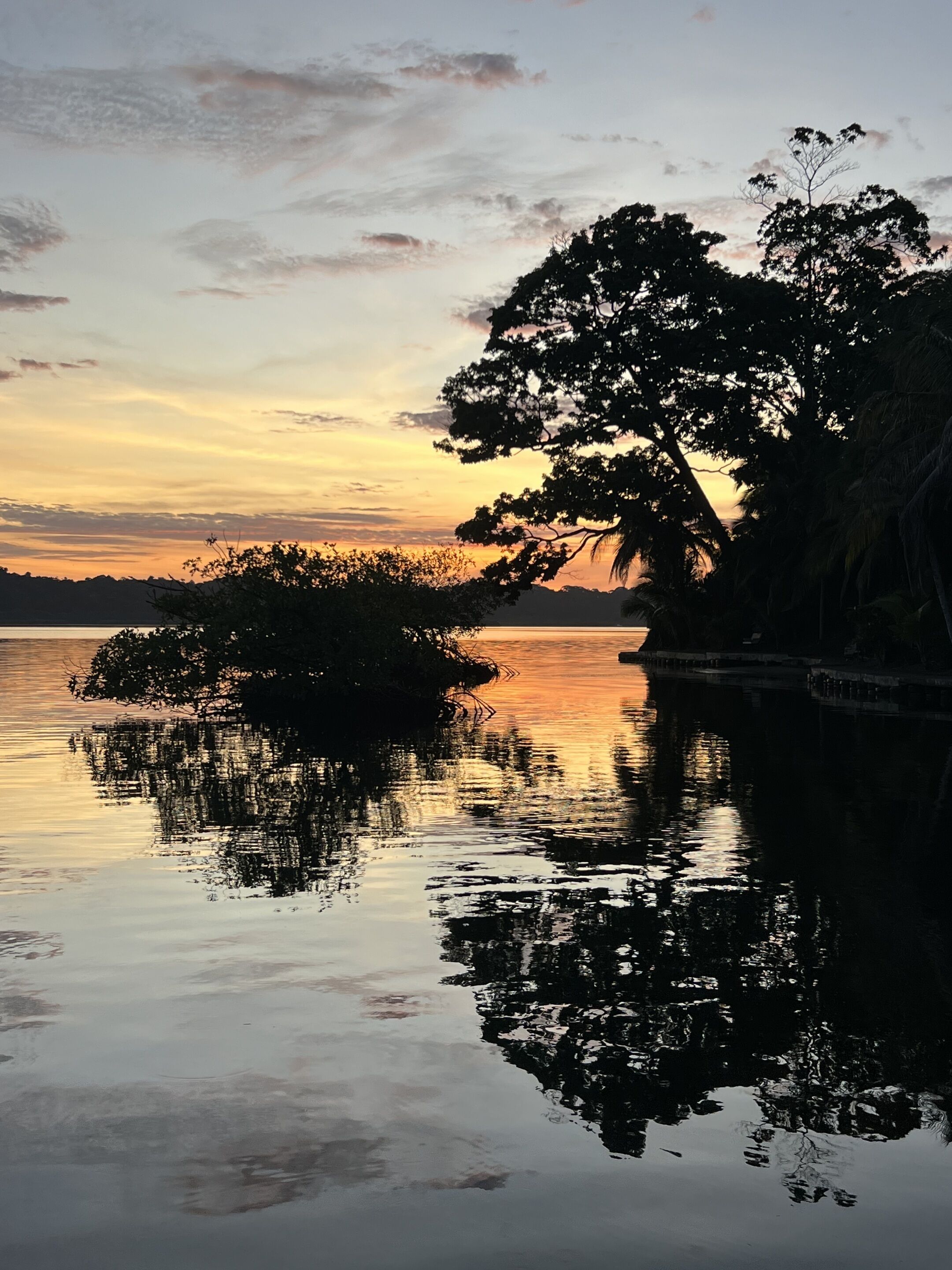 Ein stiller See bei Sonnenuntergang, mit Bäumen, die sich im Wasser spiegeln.
