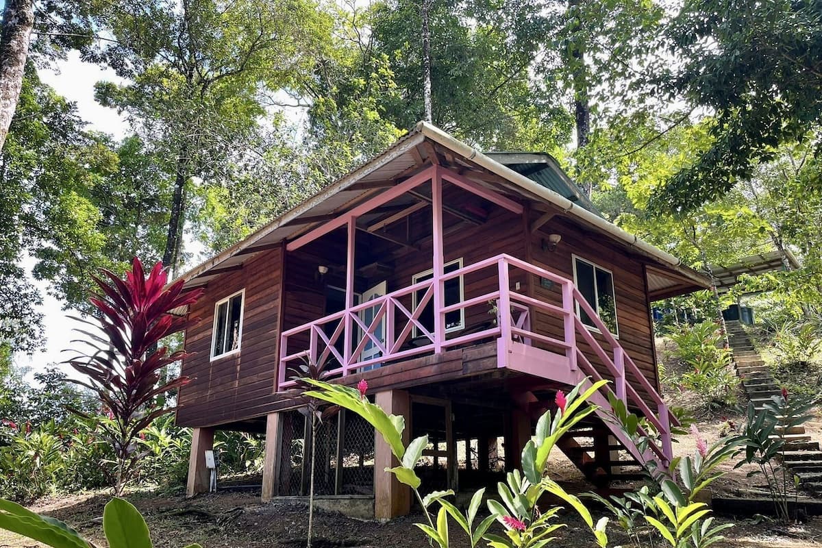 Una cabaña de madera con balcón, rodeada de exuberante vegetación.