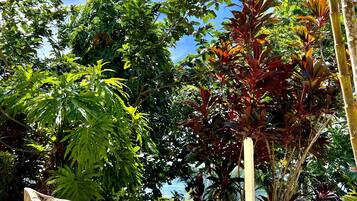 Un bote de madera sobre una superficie de baldosas, con plantas tropicales al fondo.
