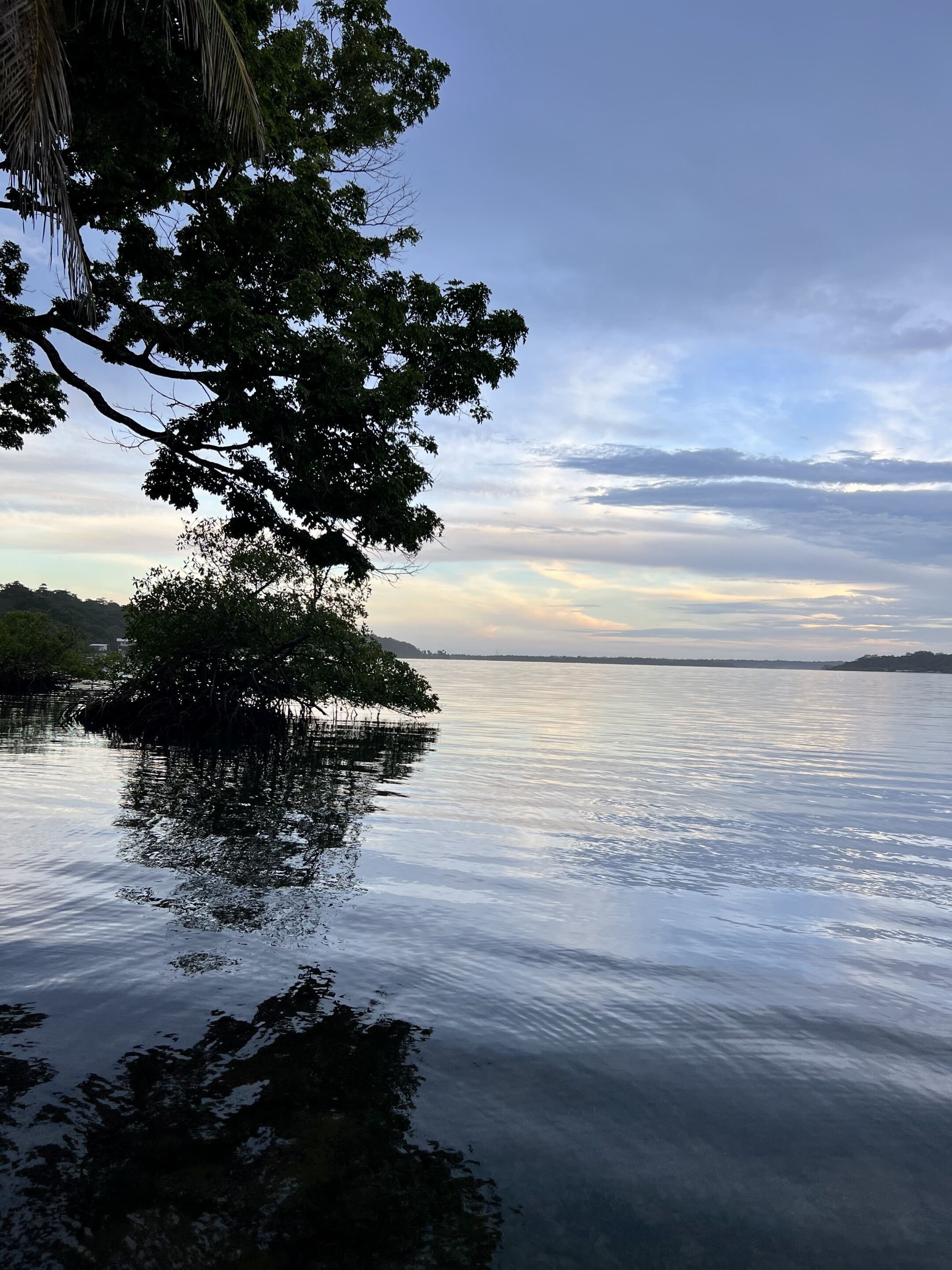 A calm lake with a tree-covered island in the center.