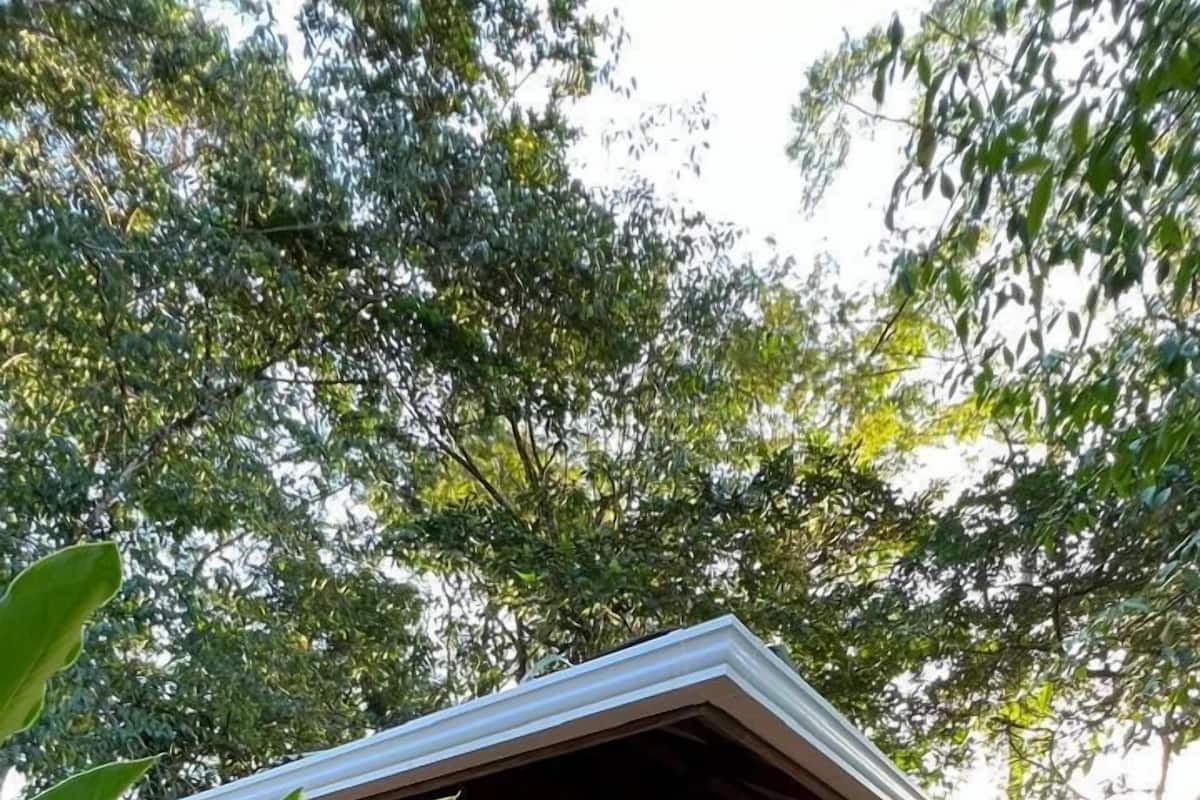 Familie cottage, en-suite badkamer, uitzicht op lagune (Jungle House Familiale) | 1 slaapkamer, luxe beddengoed, een kluis op de kamer