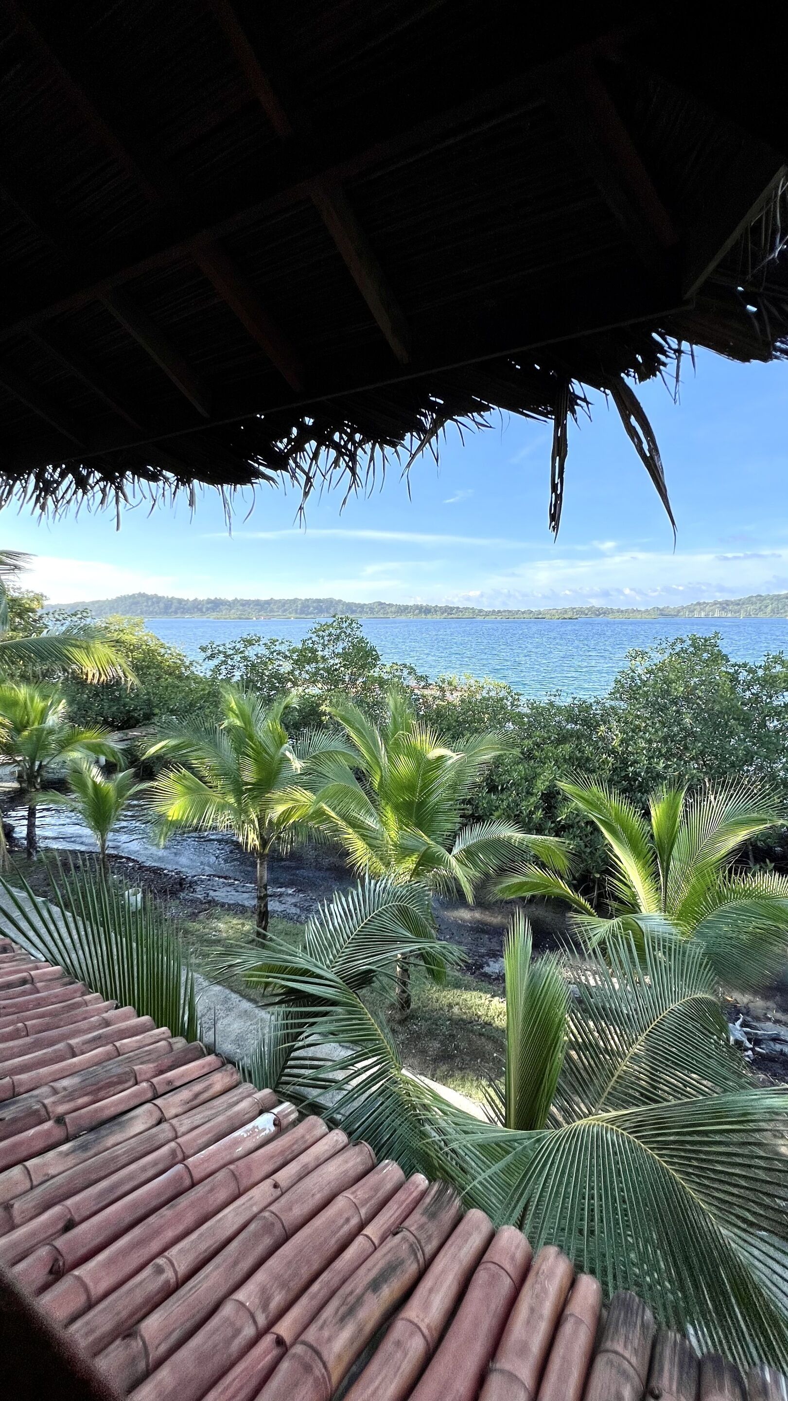 Cabin, có phòng tắm riêng, quang cảnh biển (Casa Marina) | Ngoại thất