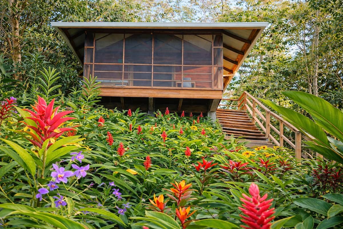 Un edificio moderno de madera de dos plantas con grandes ventanales, rodeado de exuberante vegetación tropical y una escalera de madera que conduce a la entrada.