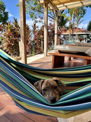 Premium bedding, individually decorated, individually furnished - Akwaba Lodge (Bastimentos)