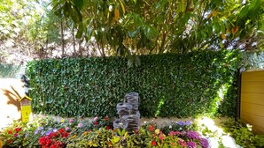 Ein Garten mit einem Felsbrunnen, dichtem Grün und bunten Blumen.