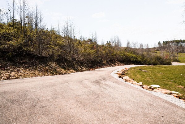 A winding road with a grassy area on one side and trees on the other. - Snuggle Bear | Hocking Hills, Adorable Tiny Home (Logan)