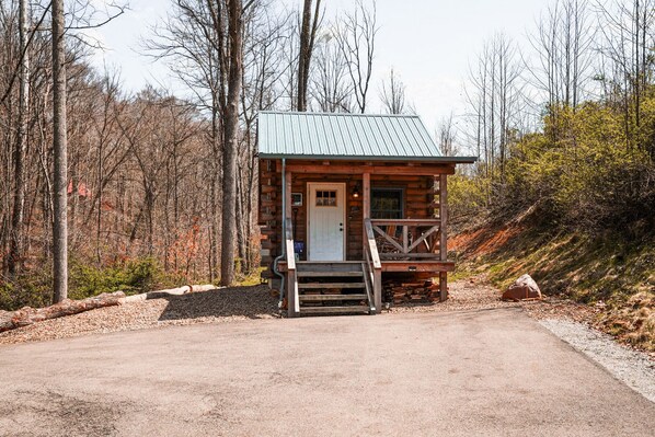 Une cabane rustique avec un toit en métal, des marches en bois et une porte.