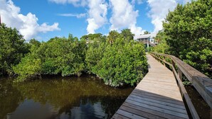 A wooden boardwalk leading to a house surrounded by dense greenery and water. - Kiss Me Kottage- Private Waterfront Home! (Cedar Key)