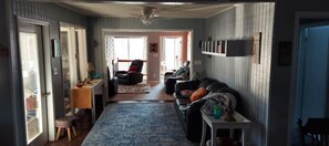 Smart TV, fireplace, books