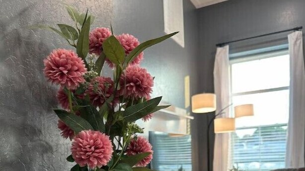 A modern living room with a grey textured wall, a white vase with pink flowers, and a potted plant on a wooden console table.