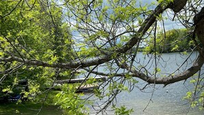 A grassy lakeside area with trees and a dock. - Luxury cottage on beautiful lakefront with hot-tub & private bunkie. New to VRBO (Maberley)