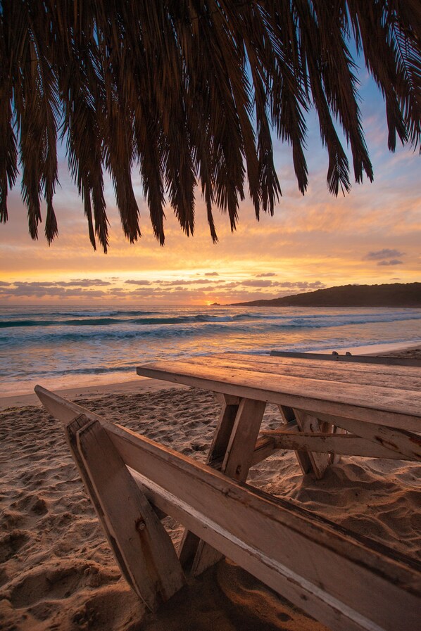 A wooden bench on a sandy beach with a view of the ocean and a sunset.