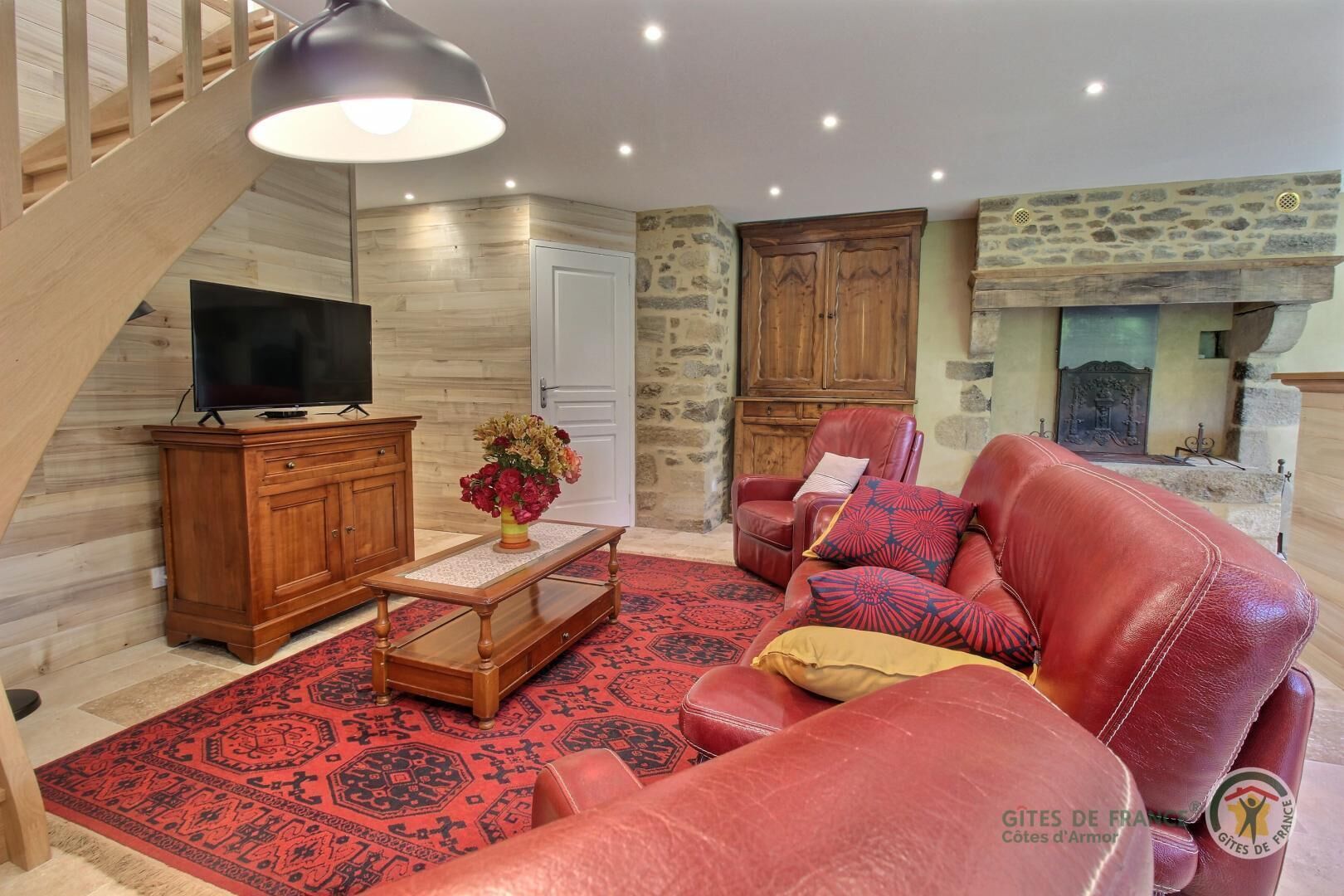 Televisión, chimenea, libros