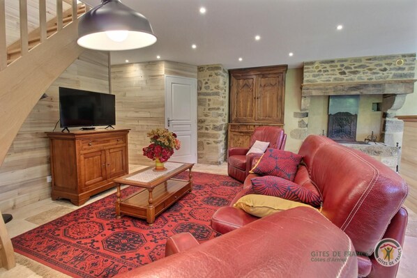 TV, fireplace, books