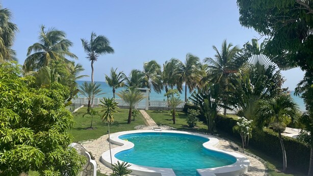 Una piscina de diseño curvo, rodeada de palmeras y con vista al océano.